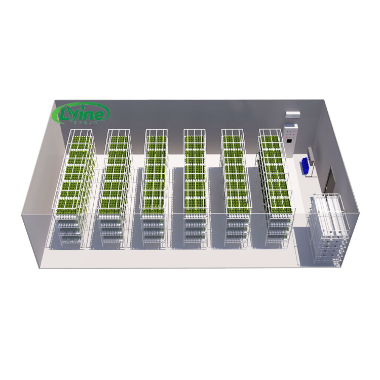 Agriculture Vertical Farming - Serre agricole Lettuce Nft Sistema di