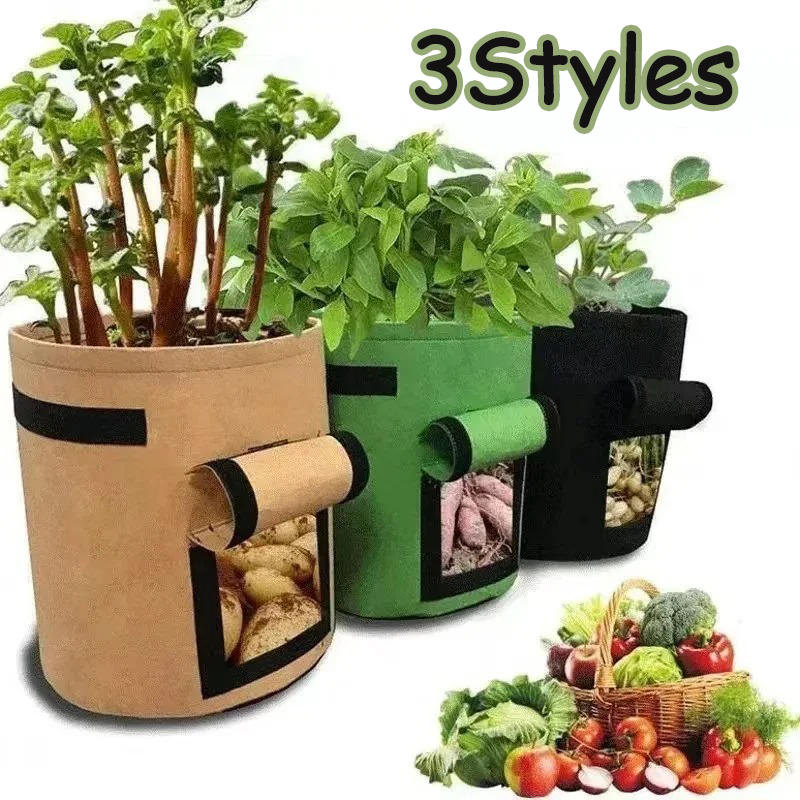 3 stili feltro pianta coltiva  - Agriculture Vertical Farming recensione e prezzo