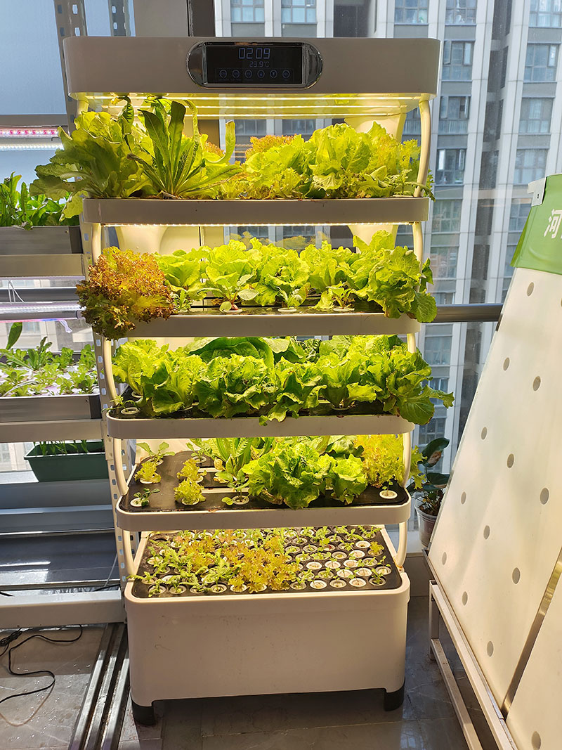 c Macchina agricola per coltiv - Agriculture Vertical Farming recensione e prezzo