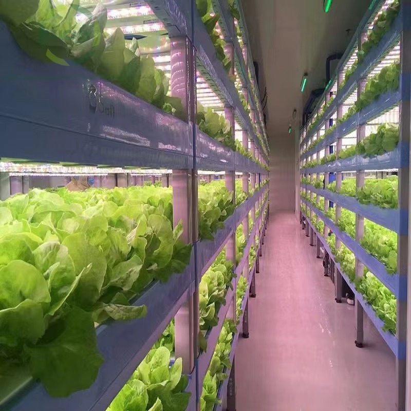 Sistema di Coltivazione Idropo - Agriculture Vertical Farming recensione e prezzo