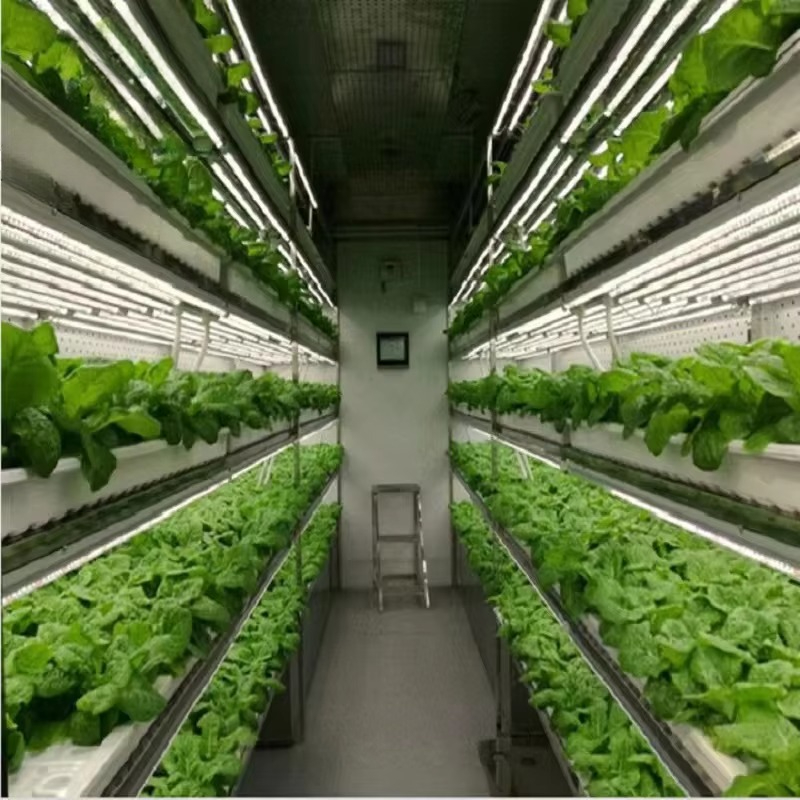 Sistema di Coltivazione Idropo - Agriculture Vertical Farming recensione e prezzo