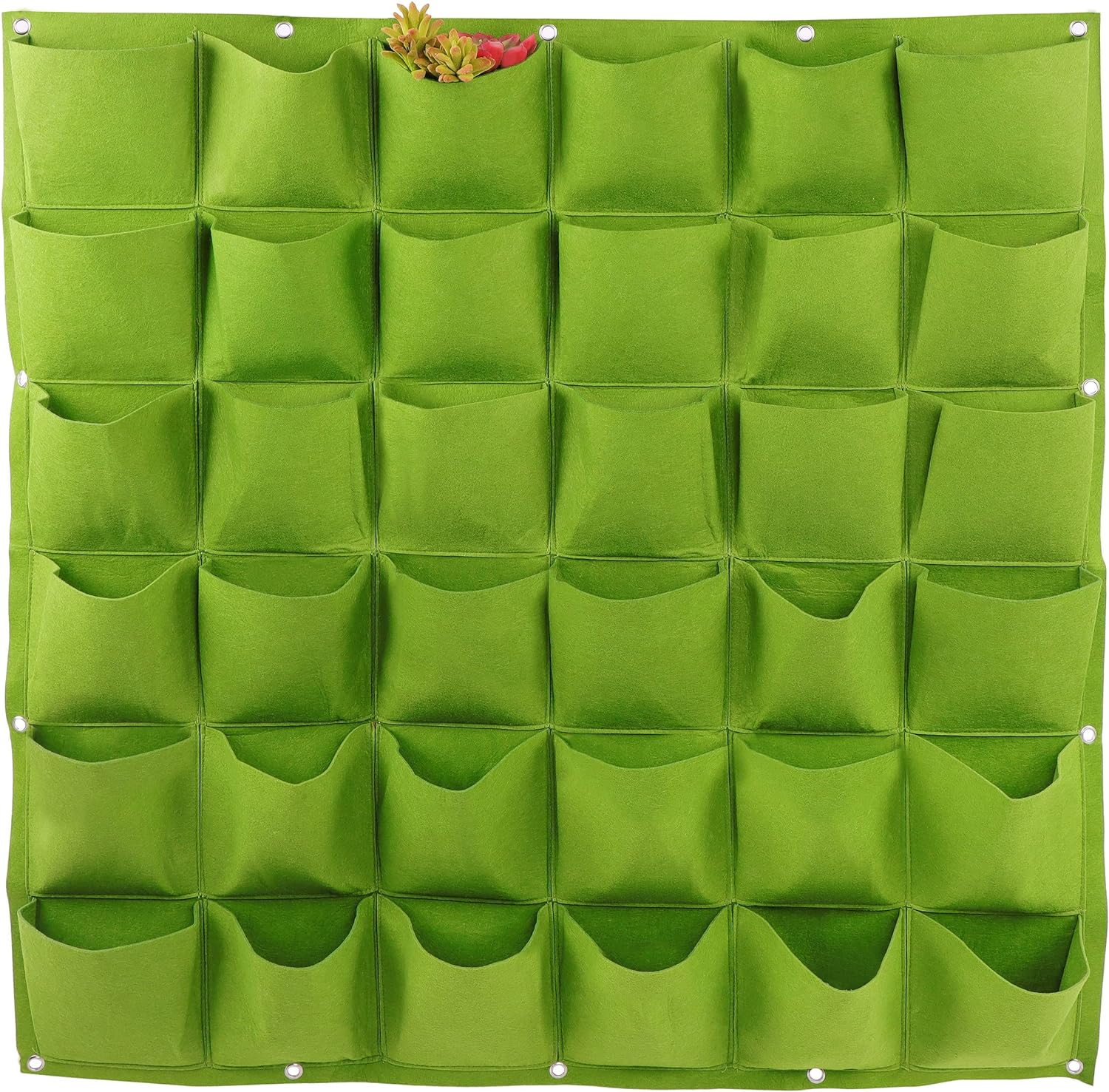 Sacchetto per la crescita dell - Agriculture Vertical Farming recensione e prezzo