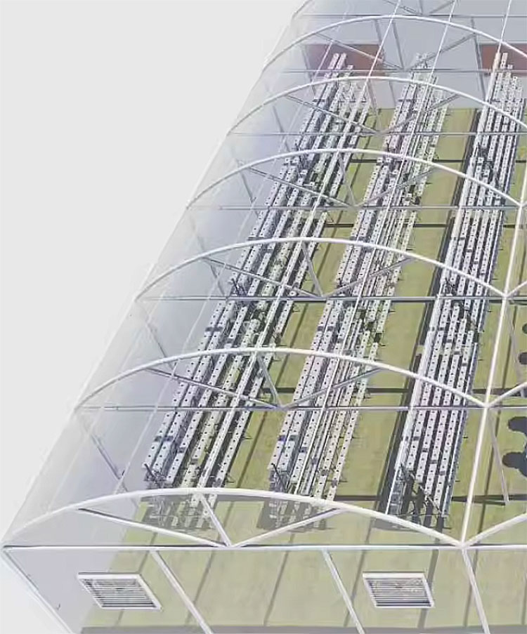 Serre agricole Lettuce Nft Sis - Agriculture Vertical Farming recensione e prezzo